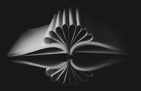 Book On A Mirror. Foto stock
