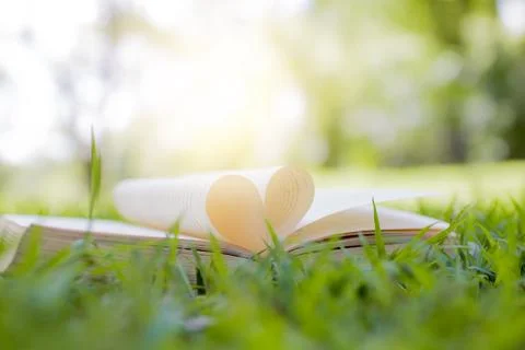 Book opened as heart shape on grass in park, knowledge and education concept Fotos de archivo
