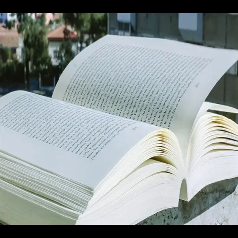 Book Page Stock Footage 69411611