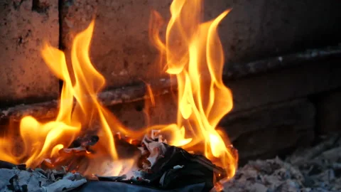 Book pages are burning in fire. Bonfire of Burning Books Video stock 111849353