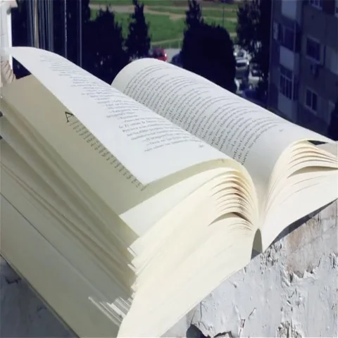 Book Pages turning  Stock Footage 69471530