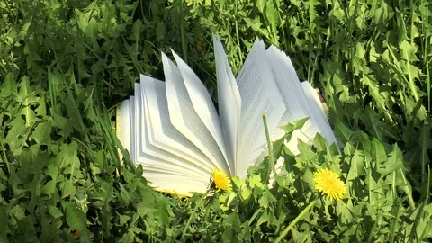 Book pages turning by wind Stock Footage 89957606