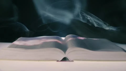 In book pages a video is visualization of the story written in the book Video stock 313148759