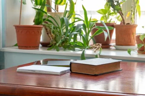 Book, papers and tablet on wooden table beside potted plants. Home study wo.. 스톡 사진