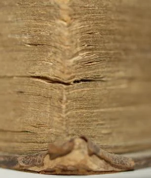 The book Stock Photos