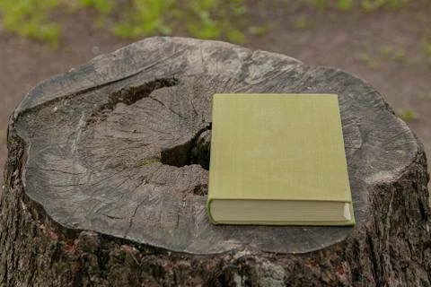 Book. Foto stock
