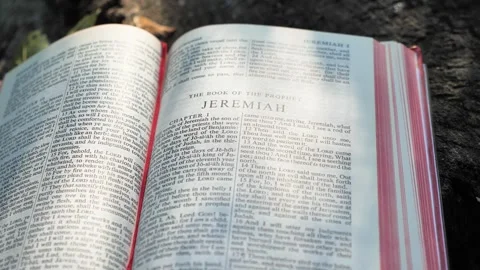 The book of the prophet Jeremiah, chapter of Holy Bible book Stock Footage 300939830