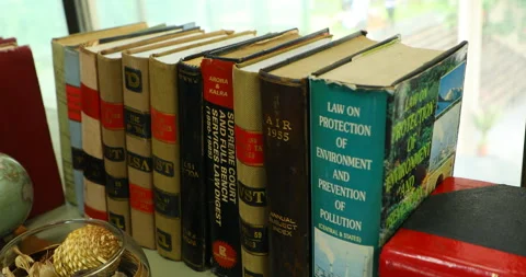 Book Rack in Home Stock Footage 281218885