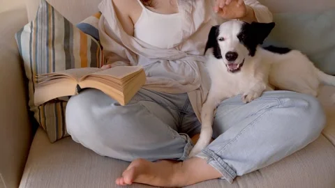 Book reading dog Vídeo Stock 219724586