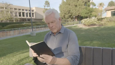 Book reading Stock Footage 116944081