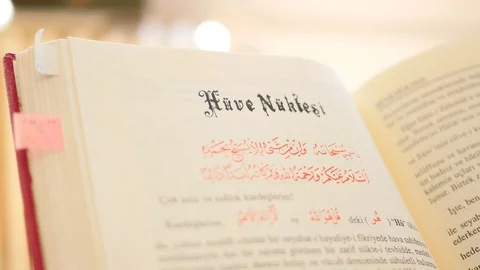 Book Reading Stock Footage 117065295