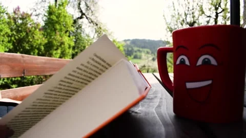 Book reading. Video stock 131263556