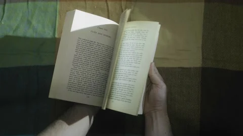 Book realtime the hobbit 動画素材 168493707