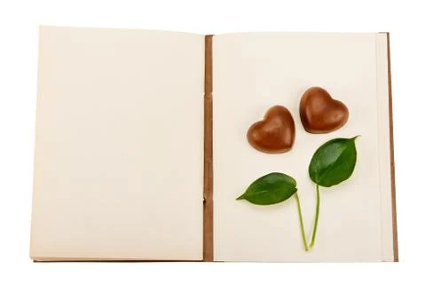 Book for records with a pattern in the form of hearts 스톡 사진