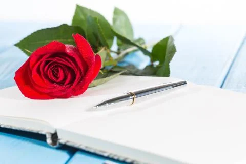 Book with a rose Foto stock