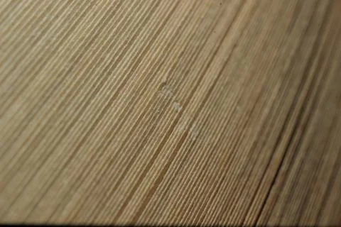 Book sheets folded at different angles close-up Stock Photos