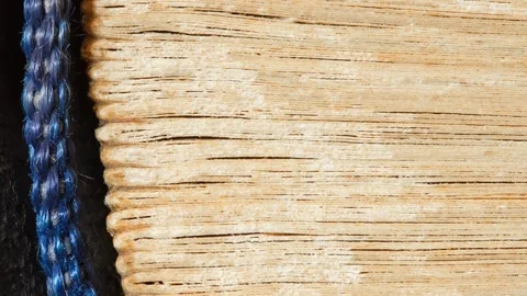 Book, side-bound close-up Stock-Footage 166858807