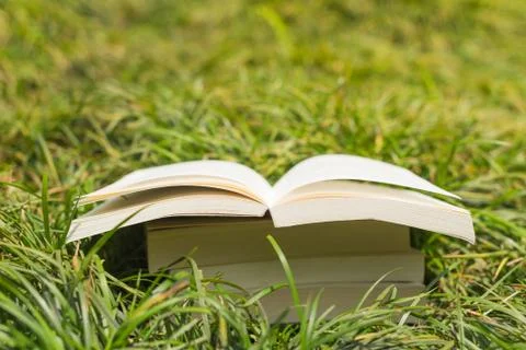 Book stack in the grass 스톡 사진