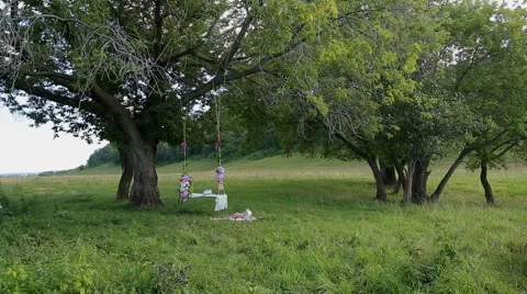 The Book On The Swing In The Woods Stock Footage 58944522