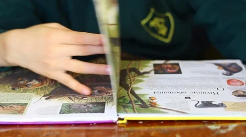 The Book For Teens. Animals Stockbeeldmateriaal 60236322