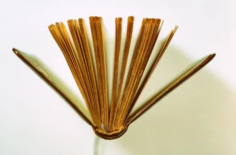 Book texture Stock Photos
