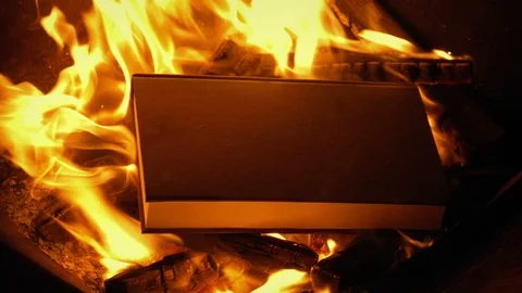 Book Is Thrown Into Fire Stock Footage 99834179