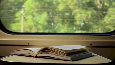 Book in the train Stock Footage 159539765