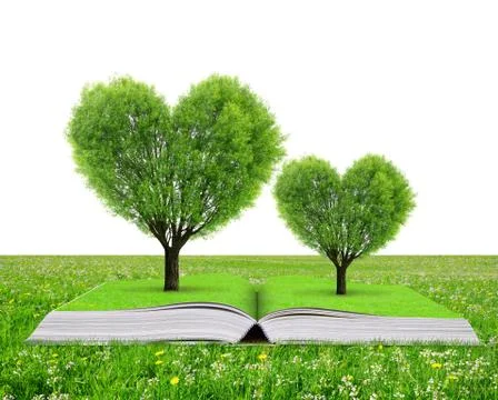 Book with a trees in the shape of heart Stock Illustration