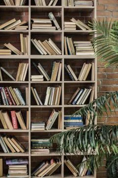 Book wall shelf Stock Photos