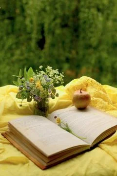 Book on the window. Relax. Stock Photos