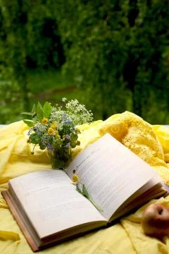 Book on the window. Relax. Stock Photos