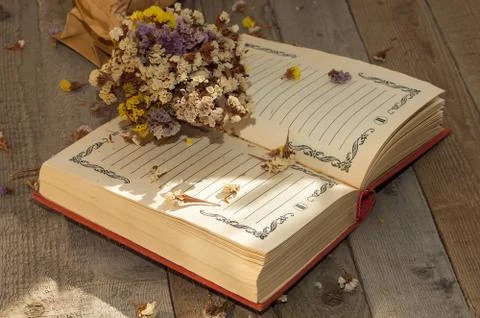 Book to write notes with dried flowers. Stock Photos