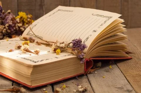 Book to write notes with dried flowers. Stock Photos