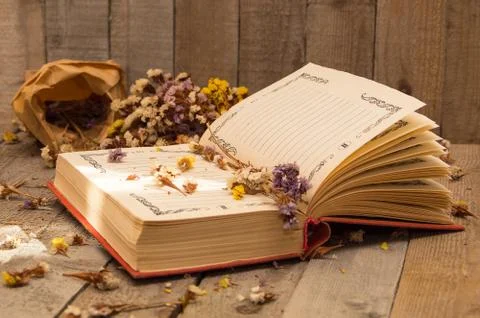 Book to write notes with dried flowers. Stock Photos