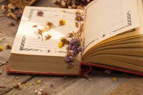 Book to write notes with dried flowers. Stock-Fotos