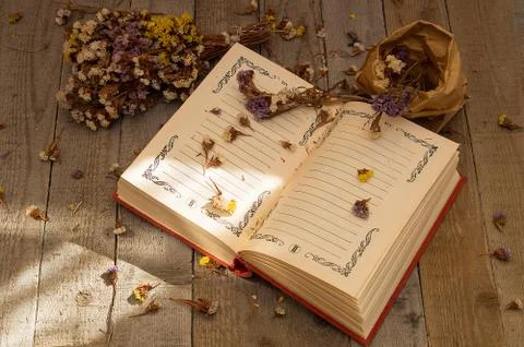 Book to write notes with dried flowers. Stock Photos