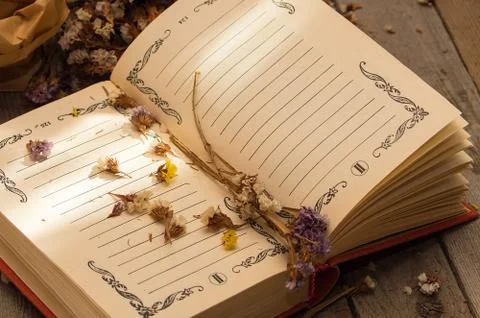 Book to write notes with dried flowers. Stock Photos