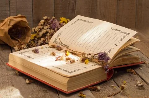 Book to write notes with dried flowers. Stock Photos