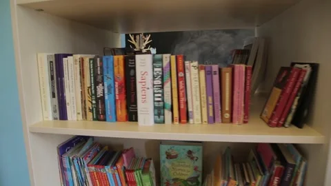 Bookcase 3 Stock Footage 321659705