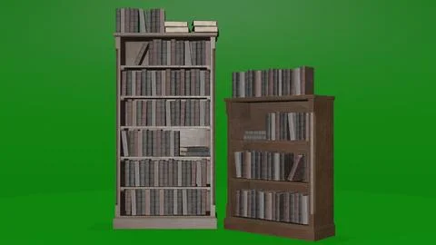Bookcase with books  2 Stock Illustration