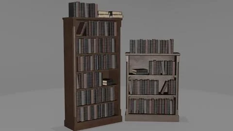 Bookcase with books  6 Stock Illustration