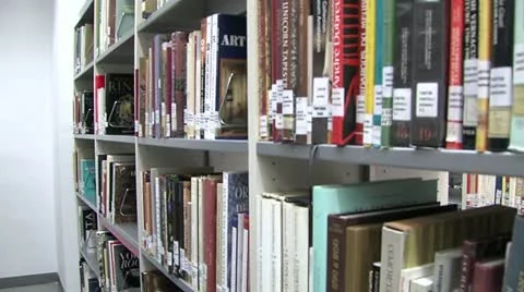 Bookcase corridor Stock Footage 20999625