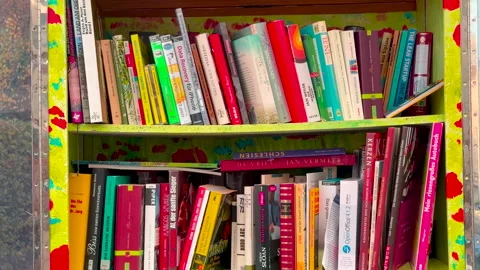 A bookcase full of books to take away Stock Footage 327331683