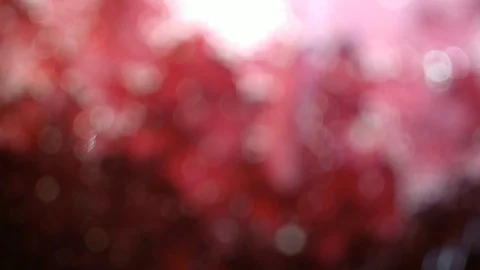 Bookeh lights blink quickly against a dark background. Beautiful bokeh moving up Stock Footage 99740971