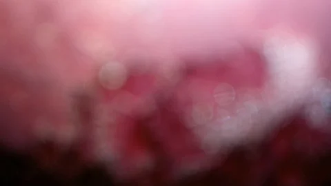 Bookeh lights blink quickly against a dark background. Beautiful bokeh moving up Stock Footage 99741503