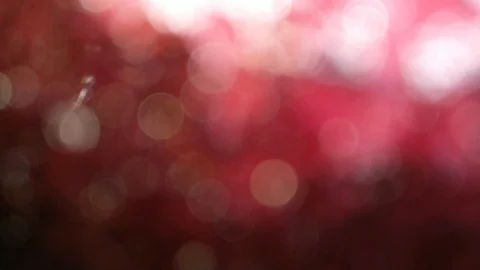 Bookeh lights blink quickly against a dark background. Beautiful bokeh moving up Stock Footage 99743013