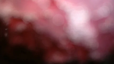 Bookeh lights blink quickly against a dark background. Beautiful bokeh moving up Stock Footage 99744064