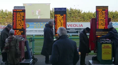 Bookmakers at the race course Stock Footage 62439421