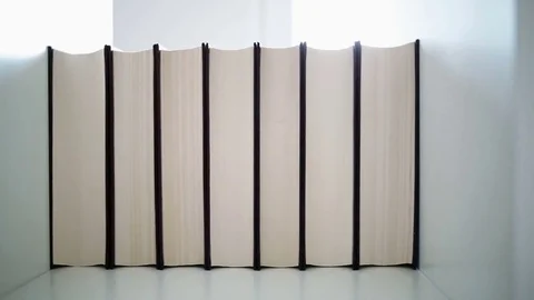 Books on a bookshelf Stock Footage 84293466