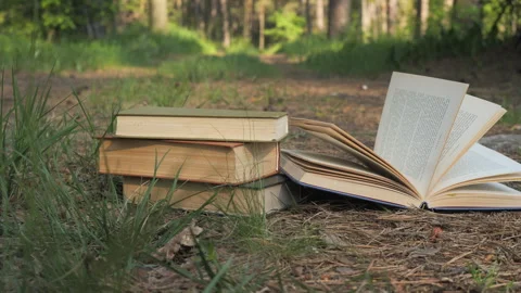 Books on forest ground with open pages in peaceful natural clearing Stock Footage 311570458
